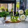 Candle Holders