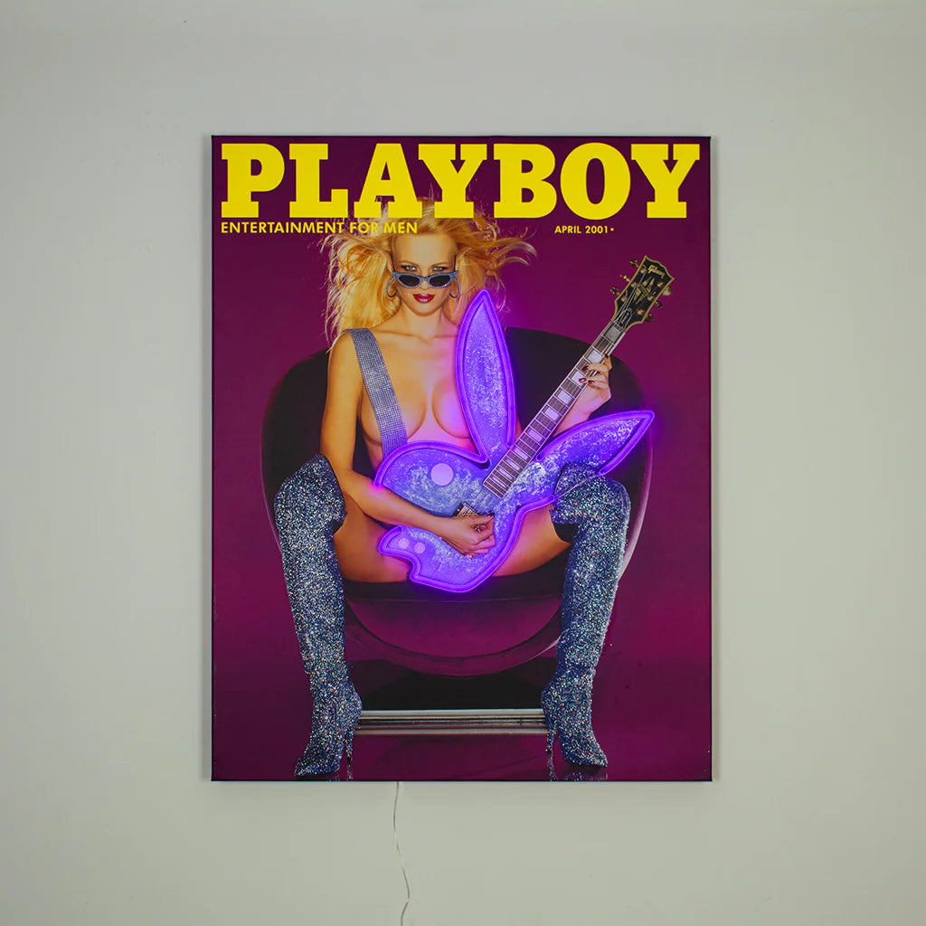 Playboy Rockstar Cover 2001 Sold Out