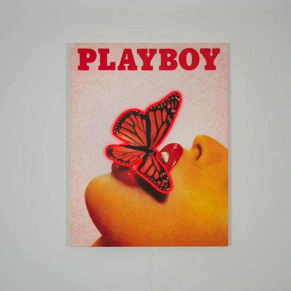 Playboy Butterfly Cover