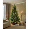 Fir Pre-Lite Warm White 8.5ft