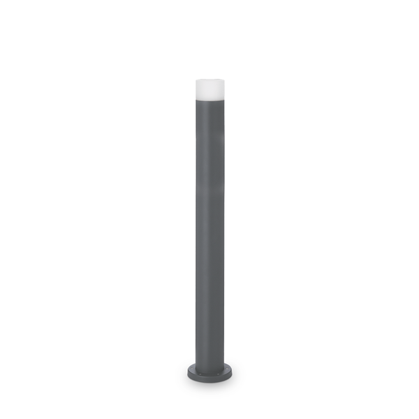 Amnnesia Outdoor Light