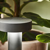 Divino Outdoor Light