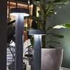 Divino Outdoor Light