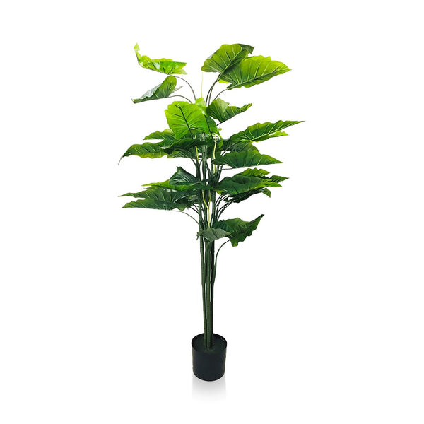 Artificial Taro Tree Out of Stock