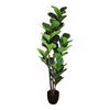 Fiddle Leaf Fig Tree Out of Stock