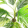 Palm Tree Out of Stock