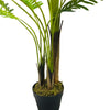 Palm Tree Out of Stock