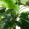 Artificial Taro Tree Out of Stock