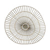Fossil Medium Wall Art