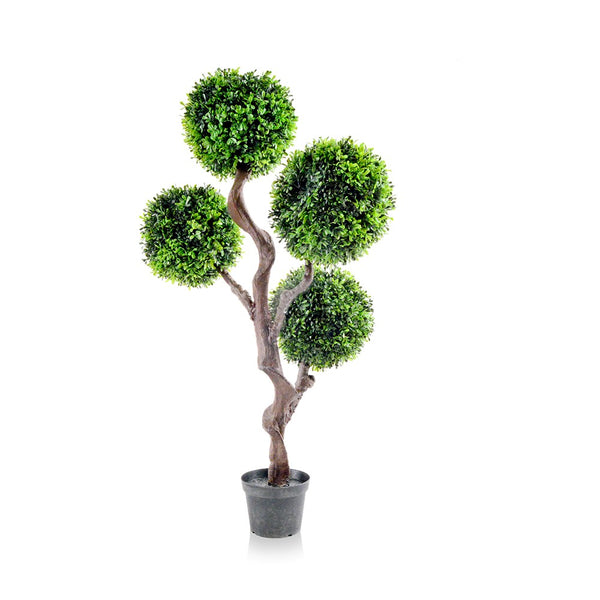 Boxwood Topiay Tree