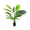 Palm Tree Out of Stock