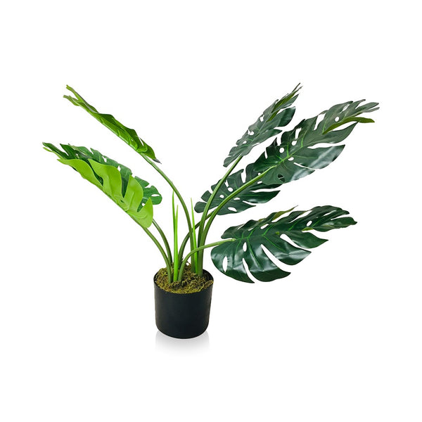 Artificial Monstera Plant Out of Stock