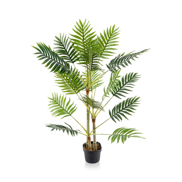Palm Tree
