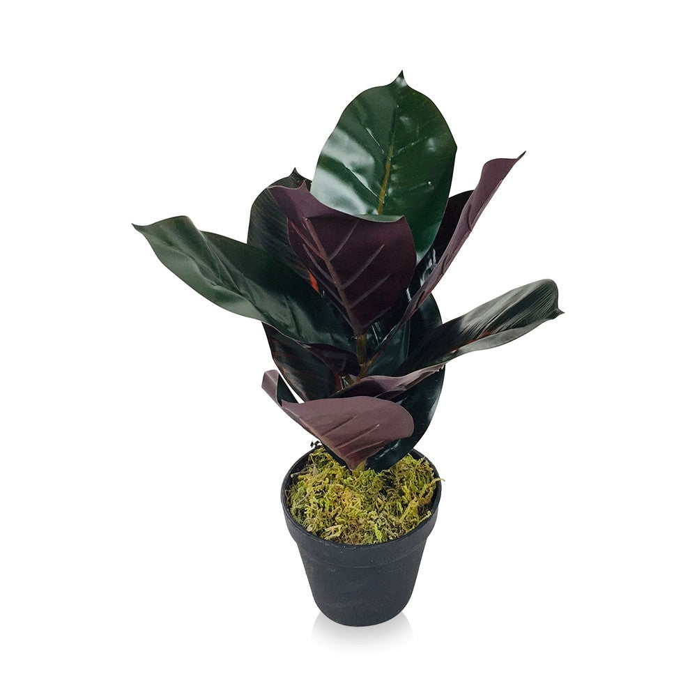 Artificial Rubber Plant